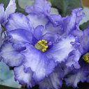 ���� ������, ����������� - ��������� 9 ��� 2010 � ������ ���� ������