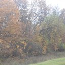 ���� �������, ������, 46 ��� - ��������� 28 ������� 2012 � ������ �������