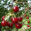 ���� Vipalych, ������, 68 ��� - ��������� 4 ��� 2011 � ������ ������