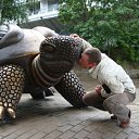 ���� ����, �����, 57 ��� - ��������� 25 ������� 2009 � ������ ����� ������