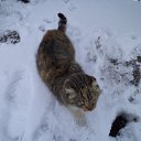 ���� �����, �����������, 38 ��� - ��������� 29 ��� 2012 � ������ ���� ����������