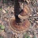 ���� �����, ������, 51 ��� - ��������� 20 ������� 2010 � ������ ������ � ��� ����������