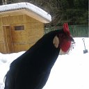 ���� �������, ������ - ��������� 20 ����� 2012 � ������ ���������