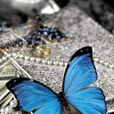 ���� ���, ��������, 49 ��� - ��������� 2 ������� 2011