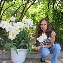 ���� ����, ������, 33 ���� - ��������� 20 ��� 2011 � ������ ���� ����������