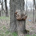  ok, --, 44  -  7  2010   