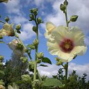 ���� �����, ������ - ��������� 1 ������ 2010 � ������ ���� ������