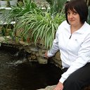 ���� ��������, ���������, 49 ��� - ��������� 1 ������ 2012 � ������ ���� ����������