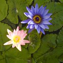 ���� ����� - ���������� ��������!!!, �����������, 56 ��� - ��������� 10 ������ 2010 � ������ ������� �����