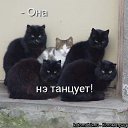 ���� ��������, �����������, 56 ��� - ��������� 2 ������ 2012 � ������ ��������....)))�