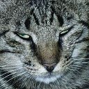 ���� ���, ������, 45 ��� - ��������� 9 ������� 2010