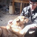 ���� �������, ������, 50 ��� - ��������� 18 ��� 2013 � ������ ���� ����������