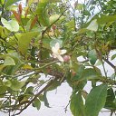 ����� �����... �� ������� �������� � ������