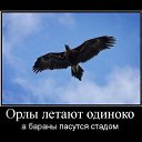 ���� ����� ���������, ������, 48 ��� - ��������� 26 ������� 2013 � ������ ���� ����������