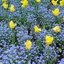 ���� ���@����@, �������, 49 ��� - ��������� 19 ��� 2010 � ������ �����������