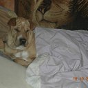 ���� ��� ����, ����, 67 ��� - ��������� 20 ��� 2011 � ������ �������