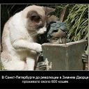 ���� �����, ������ ��������, 35 ��� - ��������� 2 ���� 2012 � ������ �������