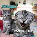 ���� �����(������� �������� � Ѹ��������), �������-���������, 46 ��� - ��������� 4 ������ 2012 � ������ ���� ����������