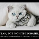 ���� ������� (���������), ������, 24 ���� - ��������� 7 ������ 2010 � ������ �������
