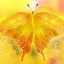  , , 43  -  15  2009   Digital Art Wallpapers