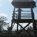  , , 49  -  10  2012    