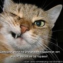 ���� ���������, ����������, 48 ��� - ��������� 3 ������� 2010 � ������ ���������