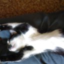   ,  -  26  2013        =)