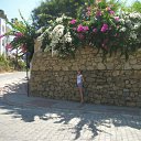  , , 50  -  23  2011    2011.