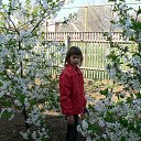  , --, 23  -  19  2013    