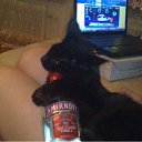 ���� �������, ���������, 49 ��� - ��������� 24 ������ 2011 � ������ �Magnificent�