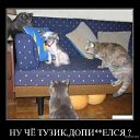 ���� ����, ������-������, 60 ��� - ��������� 2 �������� 2012 � ������ ����������