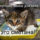 ���� �������, ��������, 36 ��� - ��������� 21 ����� 2011 � ������ ���� ����������