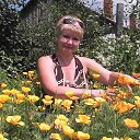 ���� ���, �����, 63 ���� - ��������� 12 ���� 2013 � ������ ���� ����������