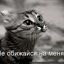 ���� �������, �����-��������, 47 ��� - ��������� 30 �������� 2012 � ������ �������