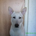 ���� ������, ������, 45 ��� - ��������� 10 ���� 2013