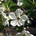   - , , 65  -  2  2012   