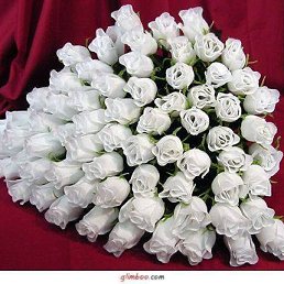 ���� �����, ����������, 56 ��� - ��������� 15 ������ 2012