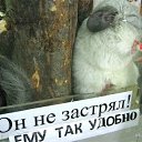 ���� �������, ���������, 42 ���� - ��������� 25 ����� 2012 � ������ �������������