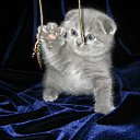  ,  , 23  -  13  2011   