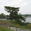 ������, ���� 2009
