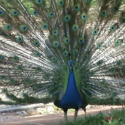 ���� �������, ���������� ����� - ��������� 20 ������� 2010