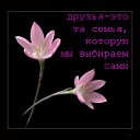 ���� Ju, �������� - ��������� 14 ������ 2013 � ������ �������