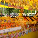 ���� ����� �������, ���������������, 41 ��� - ��������� 3 ������ 2011 � ������ �������