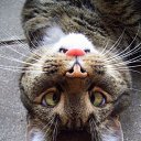 ���� ���, �����, 48 ��� - ��������� 21 ������� 2010 � ������ �������