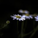 ���� ��������, �������, 58 ��� - ��������� 14 ���� 2013 � ������ ������� �������