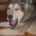 ���� ����, �������� - ��������� 5 ������� 2012