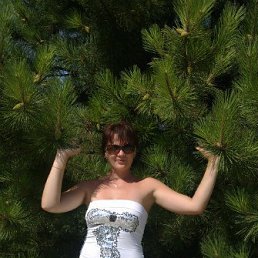 �����, ������, 40 ���