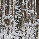 ���� ������, ��������� - ��������� 31 ������ 2010 � ������ �������� �������