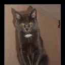 ���� Katoteshi, �������, 45 ��� - ��������� 11 ������� 2011 � ������ ������