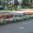 ���� ��������, ������-�������� - ��������� 6 ������� 2010 � ������ �������� �����